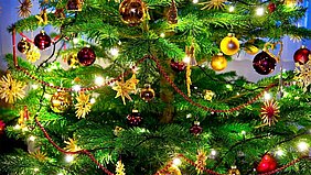 Weihnachtsbaum mit Lichterkette, roten Kugeln, Strohsternen und roten Perlenketten geschmückt.
